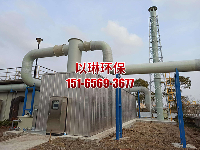 生物除臭箱內部培養的是哪種微生物